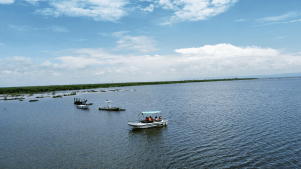 Lake Victoria from a distance